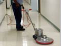 Camelot Commercial Cleaning Pest Control